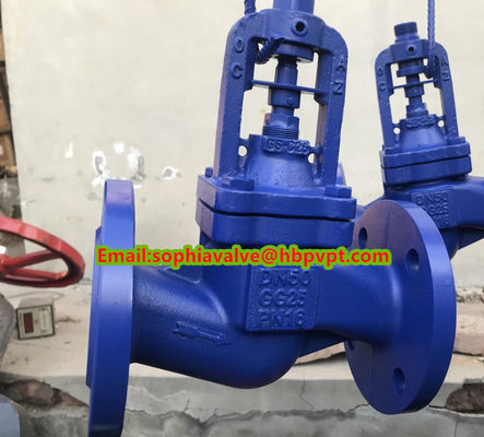 Cast steel GS-C25 PN10 flanged globe valve from Hebei