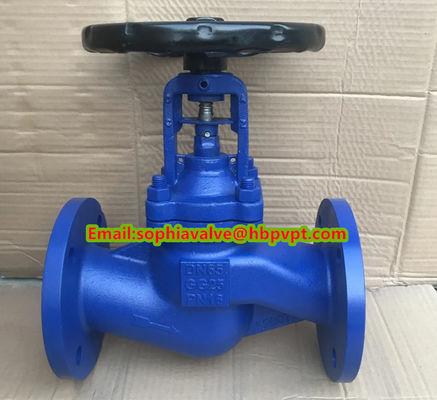 Cast steel GS-C25 PN10 flanged globe valve from Hebei