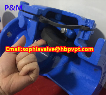 resilient seal PN10/PN16 cast iron swing check valve