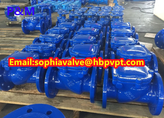resilient seal PN10/PN16 cast iron swing check valve