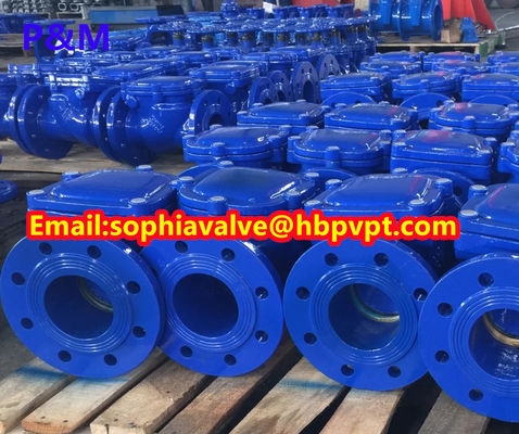 resilient seal PN10/PN16 cast iron swing check valve