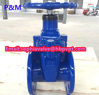 DIN3352 resilient seal cast iron gate valve