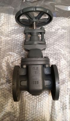 2 inch and 4 inch 125LB cast iron gate valve