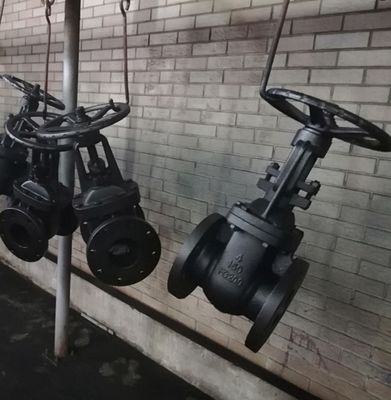2 inch and 4 inch 125LB cast iron gate valve