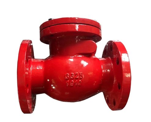 PN10/PN16 DIN metal seal check valve