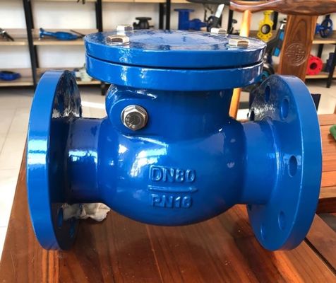 PN10/PN16 DIN metal seal check valve