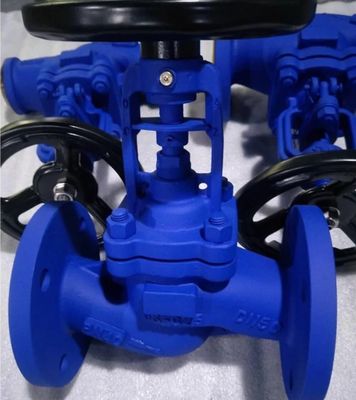 WCB cast steel PN40 bellows globe valve
