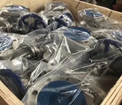 WCB cast steel PN40 bellows globe valve