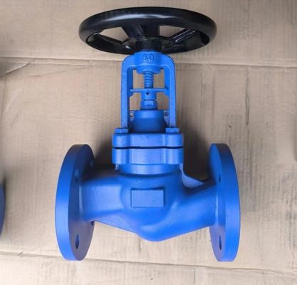 GG25 GGG40 cast iron bellows globe valve