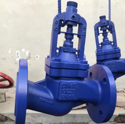 GG25 GGG40 cast iron bellows globe valve