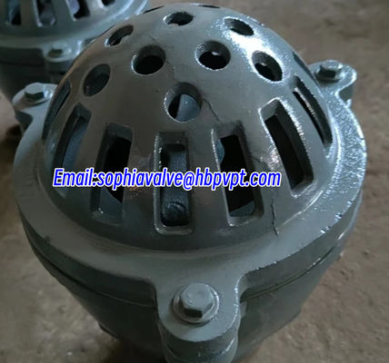 GG20 BS21 cast iron resilient seal foot valve
