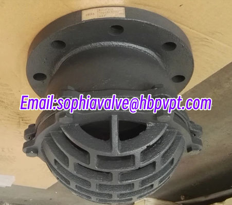 BS4504 PN10/16 EPDM flanged foot valve