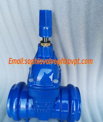DN50 PN16 GGG50 socket gate valve supplier