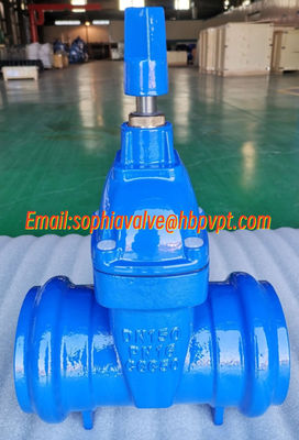 DN50 PN16 GGG50 socket gate valve supplier