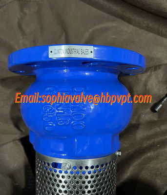 PN16 ductile iron GGG50 foot valve