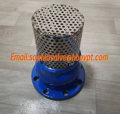 PN16 ductile iron GGG50 foot valve