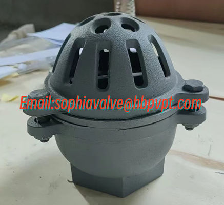 BS21 PN10 cast iron threaded foot valve