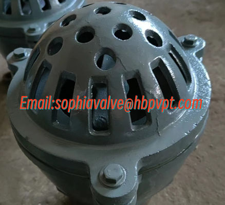 BS21 PN10 cast iron threaded foot valve
