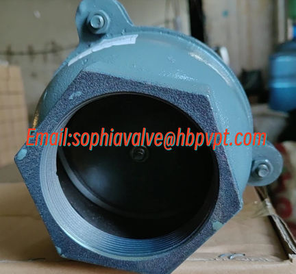 BS21 PN10 cast iron threaded foot valve