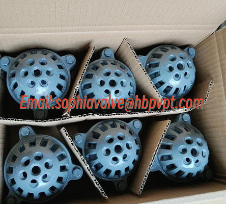 BS21 PN10 cast iron threaded foot valve