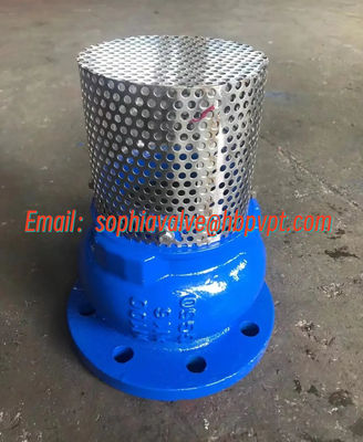 manufacture foot valve PN16 GGG50 cast iron material