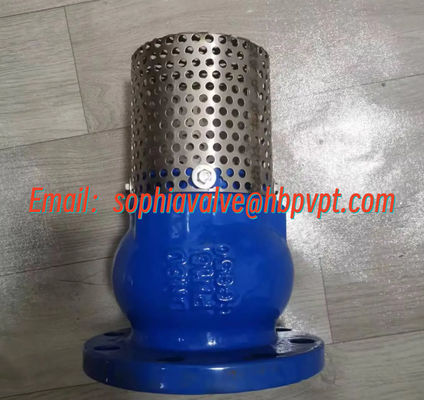 manufacture foot valve PN16 GGG50 cast iron material
