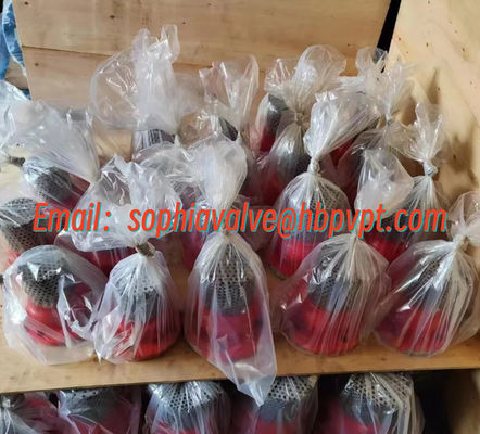 manufacture foot valve PN16 GGG50 cast iron material