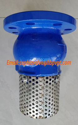 10 inch 10K ductile iron flanged foot valve