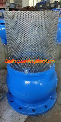 10 inch 10K ductile iron flanged foot valve