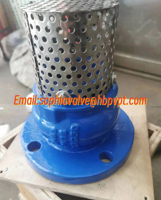 10 inch 10K ductile iron flanged foot valve