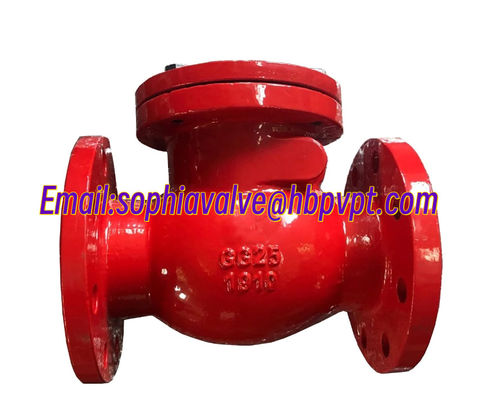 DIN standard GG25 metal seal check valve