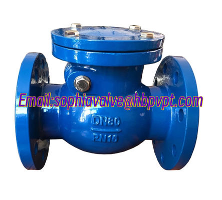 DIN standard GG25 metal seal check valve