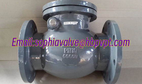 DIN standard GG25 metal seal check valve