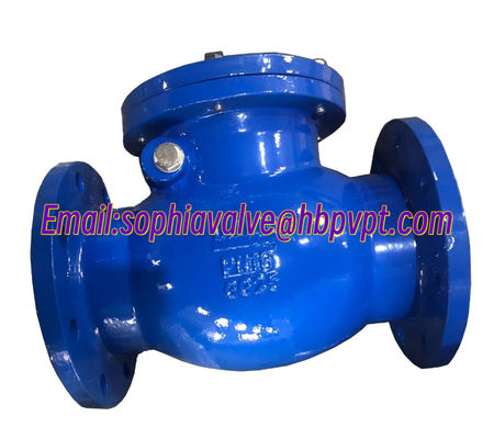 DIN standard GG25 metal seal check valve