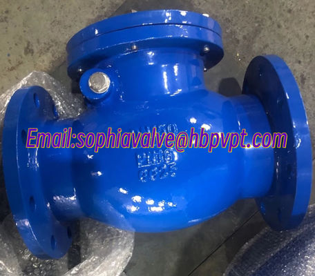 DIN standard GG25 metal seal check valve