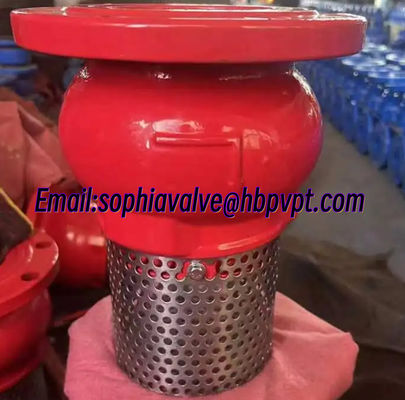 DN100 PN16 GGG50 ductile iron foot valve supplier