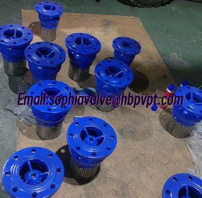 DN100 PN16 GGG50 ductile iron foot valve supplier