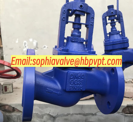 DN50 GG25 PN16 cast iron bellows globe valve