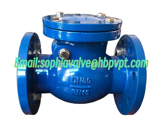 DIN PN16 metal seal flanged swing check valve