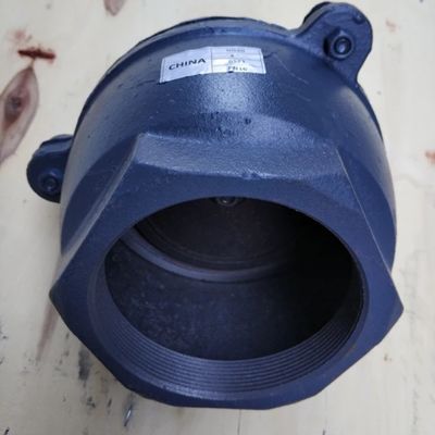 female BS21 cast iron foot valve factory from China