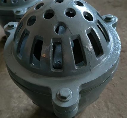 female BS21 cast iron foot valve factory from China
