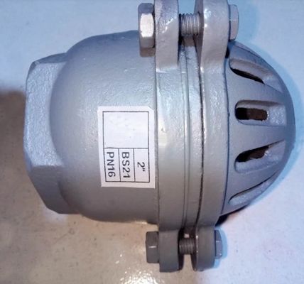 female BS21 cast iron foot valve factory from China