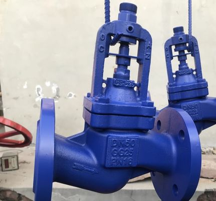 WJ41H DIN standard PN10 bellows globe valve factory from China