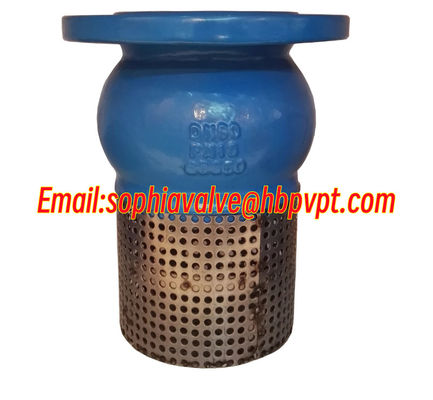 ANSI H42X GGG50 resilient seal foot valve from Hebei