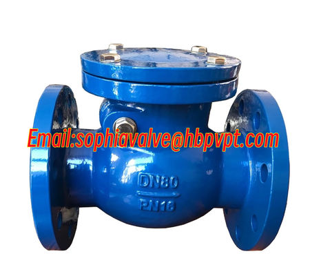 GG25 low pressure cast iron flanged swing check valve blue color