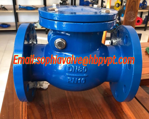 GG25 low pressure cast iron flanged swing check valve blue color