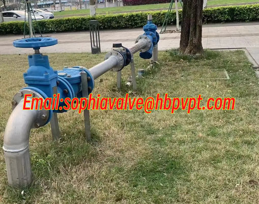 GG25 low pressure cast iron flanged swing check valve blue color