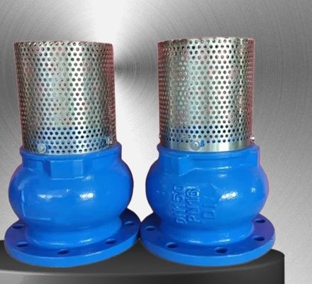 GGG50 H42X cast iron flanged foot valve manufacturer in China