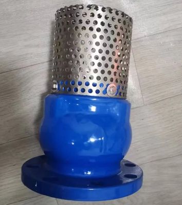 GGG50 H42X cast iron flanged foot valve manufacturer in China