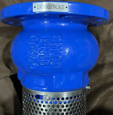 GGG50 H42X cast iron flanged foot valve manufacturer in China